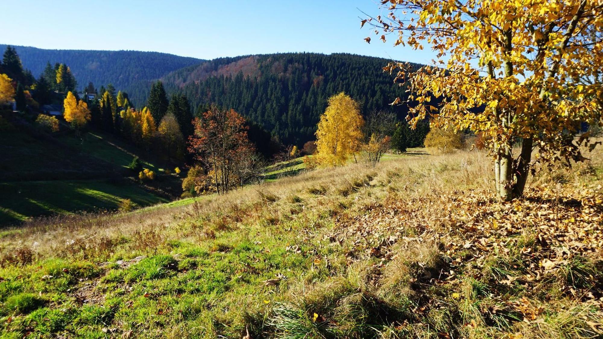 Hotel Beck Lauscha Esterno foto